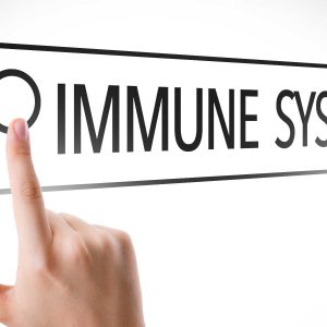 Immunsystem – ein Freund, der Aufmerksamkeit verdient